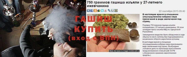 гидропоника Медногорск
