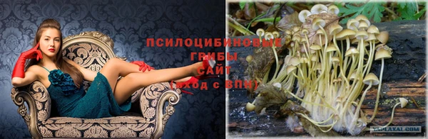 спиды Магадан