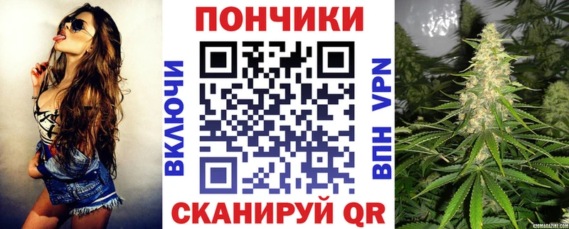 Канабис сатива  как найти наркотики  Пыталово 
